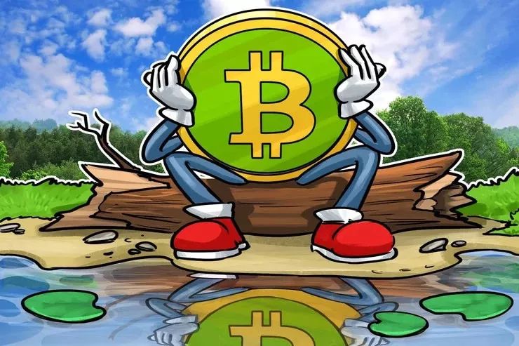 1300比特币游戏(比特币游戏是不是骗局)