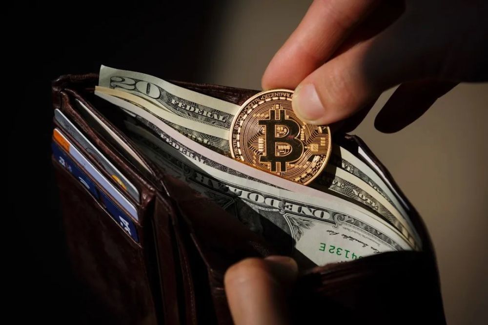 疯狂比特币视频(疯狂比特币视频解说)