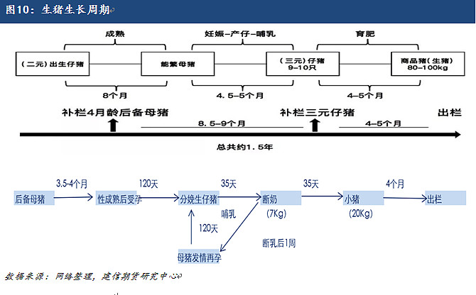 猪周期比特币(江苏小伙手握348枚比特币) 猪周期比特币(江苏小伙手握348枚比特币)