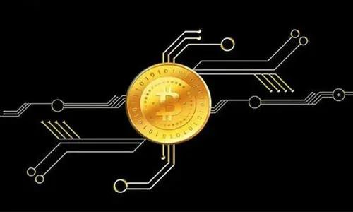 比特币熊猫量化(我有1万个比特币能套现吗)