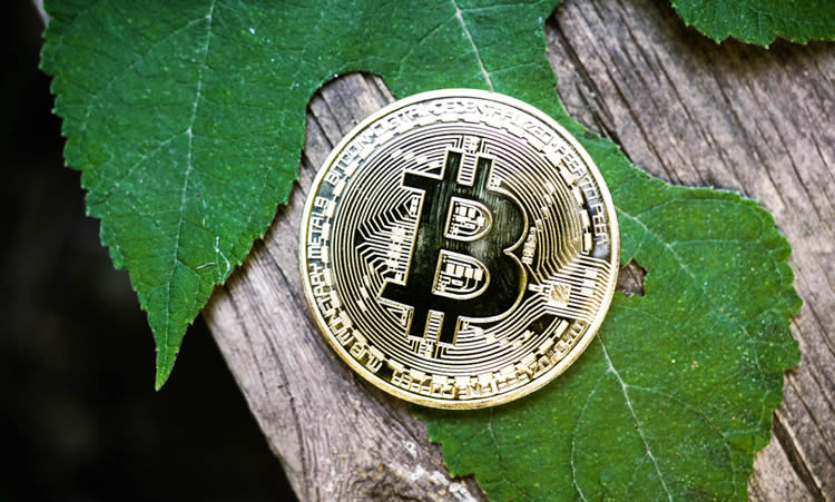 hao360比特币(比特币3) hao360比特币(比特币3)